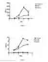 Fig. 06 - Compounds