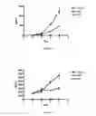 Fig. 07 - Compounds