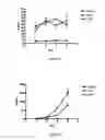 Fig. 09 - Compounds