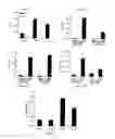 Fig. 02 - Modulation of the Immune Response