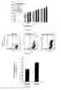 Fig. 10 - Modulation of the Immune Response