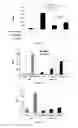 Fig. 14 - Modulation of the Immune Response