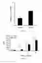 Fig. 20 - Modulation of the Immune Response