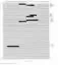 Fig. 28 - Modulation of the Immune Response