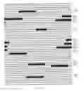 Fig. 32 - Modulation of the Immune Response