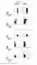 Fig. 44 - Modulation of the Immune Response