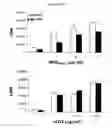 Fig. 58 - Modulation of the Immune Response