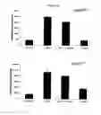 Fig. 63 - Modulation of the Immune Response