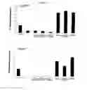Fig. 64 - Modulation of the Immune Response