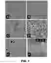 Fig. 02 - Methods for producing microbubbles