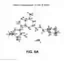 Fig. 08 - CRYSTAL FORMS OF 2--ADENOSINE
