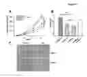 Fig. 05 - Methods for the treatment, the prognostic assessment and the staging of non-small cell lung cancer