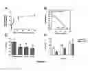 Fig. 04 - Methods and compositions for treating and identifying compounds to treat age-related macular degeneration