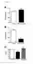 Fig. 07 - Methods and compositions for treating and identifying compounds to treat age-related macular degeneration