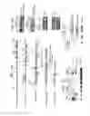 Fig. 02 - Substances and compositions for enhancing DNA repair and methods of use