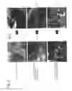 Fig. 06 - Transglutaminase crosslinked protein microparticle film composition