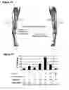 Fig. 09 - FORMULATIONS AND METHODS FOR TREATMENT OF INFLAMMATORY DISEASES