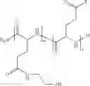 Fig. 06 - COPOLYHYDROXYALKYLGLUTAMINES FUNCTIONALISED WITH HYDROPHOBIC GROUPS, AND USES THEREOF, ESPECIALLY IN THERAPEUTICS