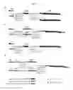 Fig. 02 - Multi-conjugate of siRNA and preparing method thereof