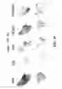 Fig. 14 - STAGED IMMUNE-RESPONSE MODULATION IN ONCOLYTIC THERAPY