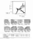 Fig. 08 - AGENTS FOR THE TREATMENT OF MULTIPLE SCLEROSIS AND METHODS OF USING SAME