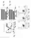 Fig. 12 - AGENTS FOR THE TREATMENT OF MULTIPLE SCLEROSIS AND METHODS OF USING SAME
