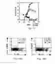 Fig. 13 - AGENTS FOR THE TREATMENT OF MULTIPLE SCLEROSIS AND METHODS OF USING SAME