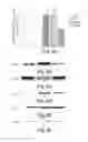 Fig. 06 - METHODS OF TREATING CARDIAC DISORDERS