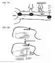 Fig. 05 - ALTERING MEMORY BY AFFECTING STAUFEN