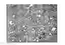 Fig. 01 - METHODS AND SYSTEMS FOR EXTENDED IN VITRO CULTURE OF NEURONAL CELLS