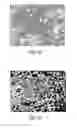 Fig. 02 - METHODS AND SYSTEMS FOR EXTENDED IN VITRO CULTURE OF NEURONAL CELLS