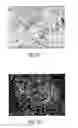 Fig. 03 - METHODS AND SYSTEMS FOR EXTENDED IN VITRO CULTURE OF NEURONAL CELLS
