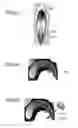 Fig. 05 - MEDICAMENT, DENTAL MATERIAL, AND METHOD OF SCREENING