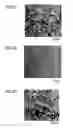 Fig. 09 - MEDICAMENT, DENTAL MATERIAL, AND METHOD OF SCREENING