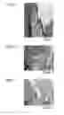 Fig. 14 - MEDICAMENT, DENTAL MATERIAL, AND METHOD OF SCREENING