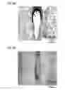Fig. 15 - MEDICAMENT, DENTAL MATERIAL, AND METHOD OF SCREENING
