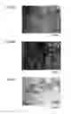 Fig. 19 - MEDICAMENT, DENTAL MATERIAL, AND METHOD OF SCREENING