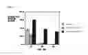 Fig. 13 - COMPOSITIONS FOR TREATMENT WITH METALLOPEPTIDASES, METHODS OF MAKING AND USING THE SAME