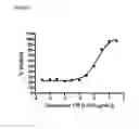Fig. 12 - DOMAIN ANTIBODY CONSTRUCT