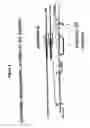 Fig. 05 - Antibodies directed against amyloid-beta peptide and methods using same