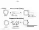 Fig. 02 - Methods of identifying peptides and compositions that bind to oocytes in a species-specific manner