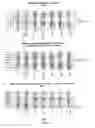 Fig. 07 - NEUTRALIZING ANTIBODIES