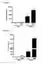 Fig. 02 - Methods for mobilizing mesenchymal stem cells in a patient