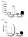 Fig. 03 - Methods for mobilizing mesenchymal stem cells in a patient