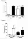 Fig. 04 - Methods for mobilizing mesenchymal stem cells in a patient