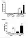 Fig. 05 - Methods for mobilizing mesenchymal stem cells in a patient