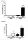 Fig. 07 - Methods for mobilizing mesenchymal stem cells in a patient