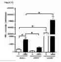 Fig. 08 - Methods for mobilizing mesenchymal stem cells in a patient
