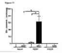 Fig. 12 - Methods for mobilizing mesenchymal stem cells in a patient