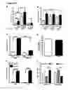 Fig. 19 - Methods for mobilizing mesenchymal stem cells in a patient